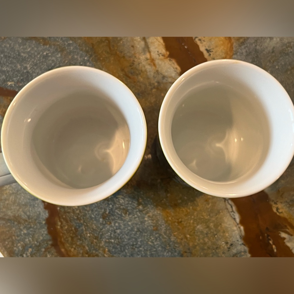 Two (2) 🖤 Vera Bradley Island Blooms Coffee Mugs Tea Cups Pair 💚💙 - Picture 3 of 4